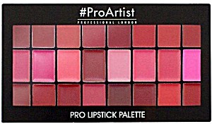 pro artist lipstick palette